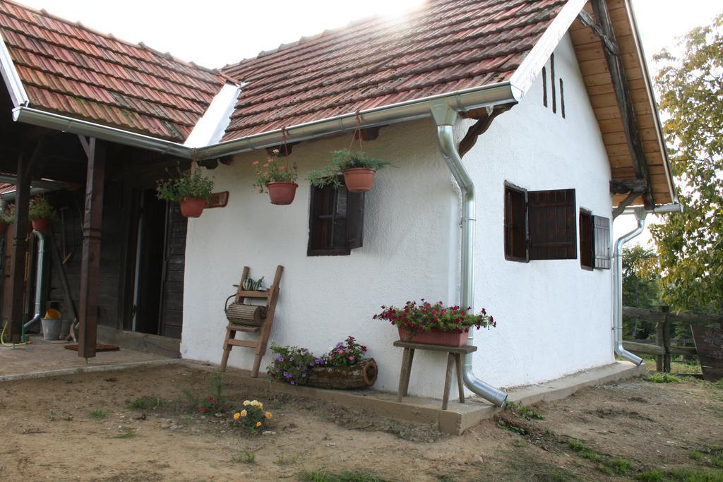 Farmica, Bed&Breakfast, Bazen Izdvojen Nekoliko Minuta Hoda Ðurđevac Zimmer foto