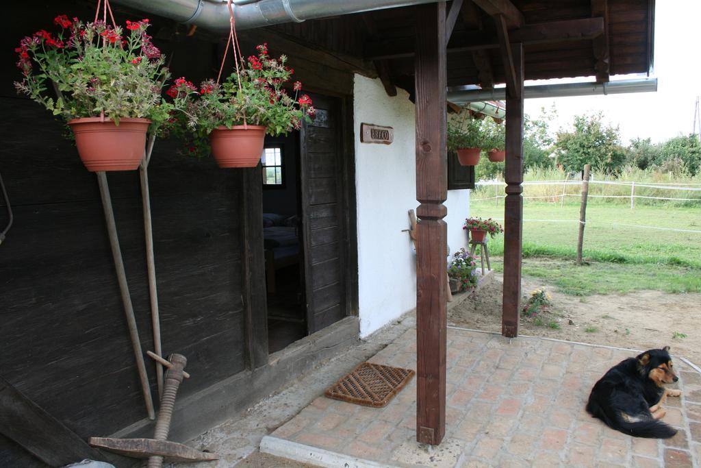 Farmica, Bed&Breakfast, Bazen Izdvojen Nekoliko Minuta Hoda Ðurđevac Exterior foto