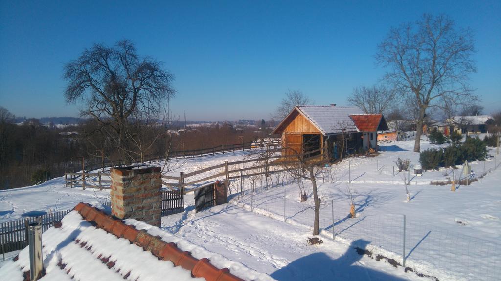 Farmica, Bed&Breakfast, Bazen Izdvojen Nekoliko Minuta Hoda Ðurđevac Exterior foto