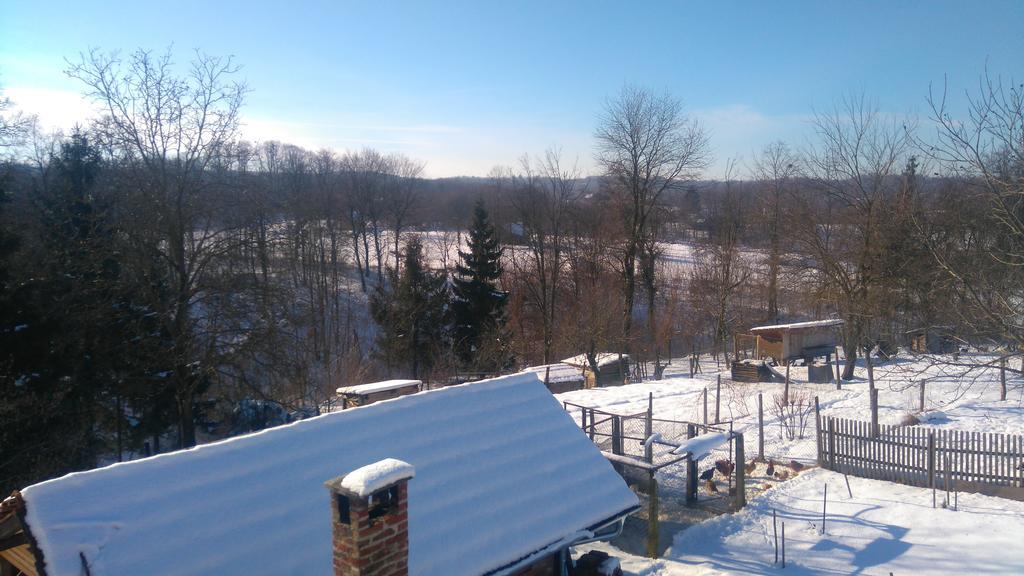 Farmica, Bed&Breakfast, Bazen Izdvojen Nekoliko Minuta Hoda Ðurđevac Exterior foto