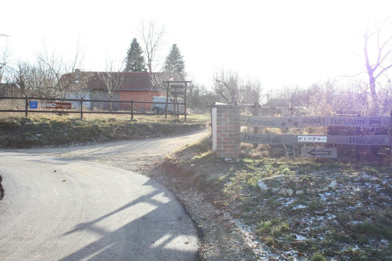 Farmica, Bed&Breakfast, Bazen Izdvojen Nekoliko Minuta Hoda Ðurđevac Exterior foto